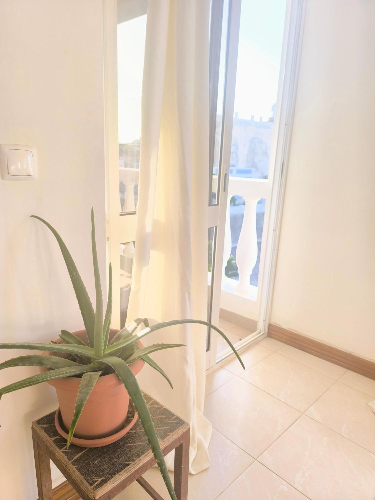 Casa Sofia Apartment มินเดโล ภายนอก รูปภาพ